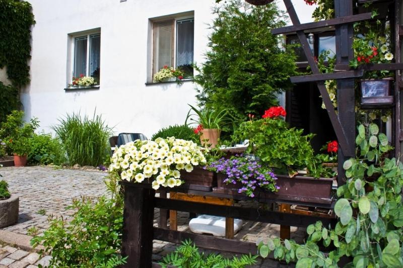 Privat No. 40 Apartman Telč Kültér fotó